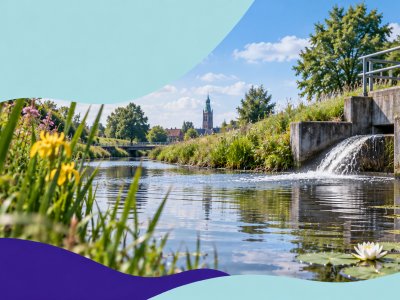 Waterkwaliteit-KRW-AI.jpg