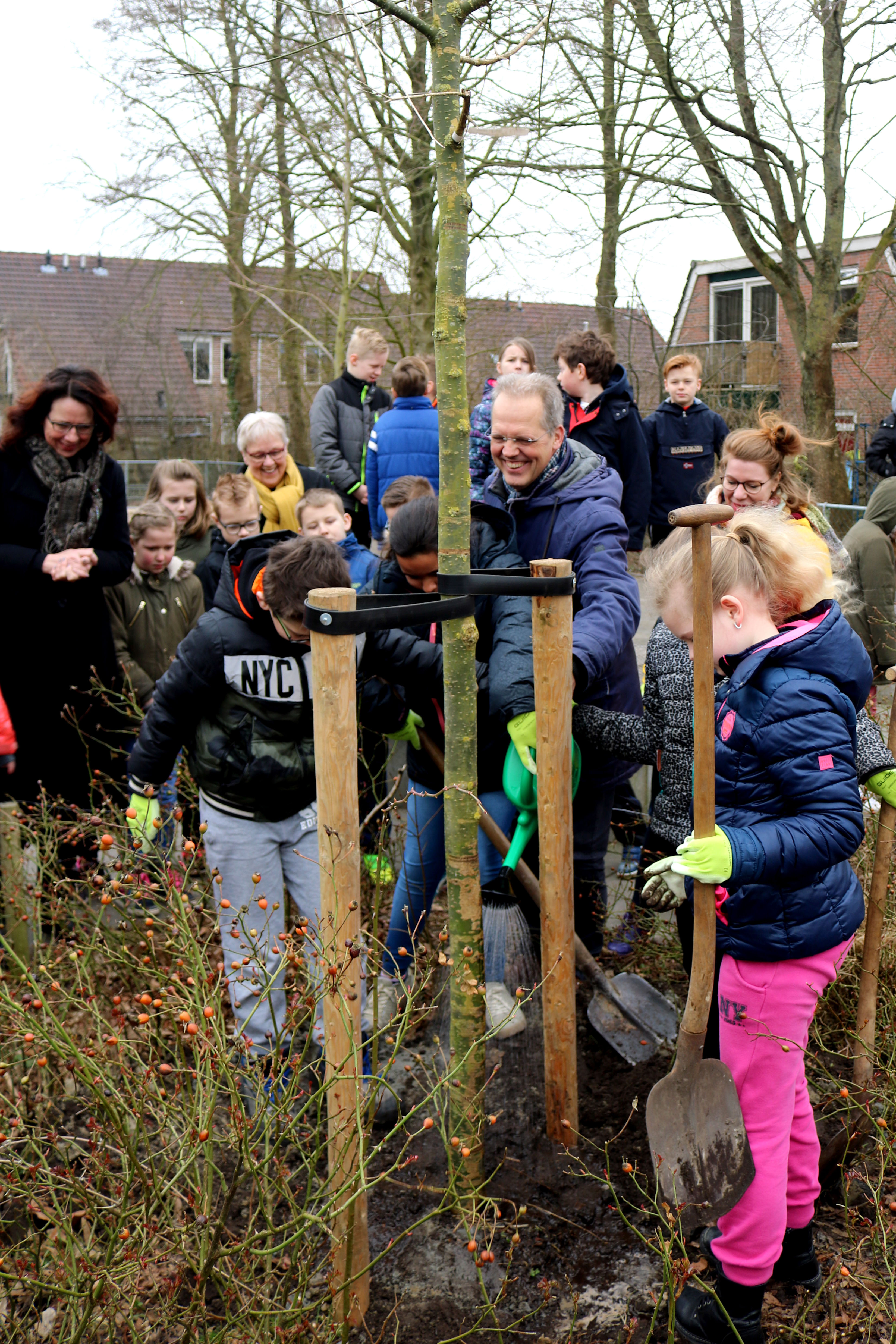 Artikel 3 foto kinderen helpen Henk Bakker met het planten van de honingboom op het schoolplein